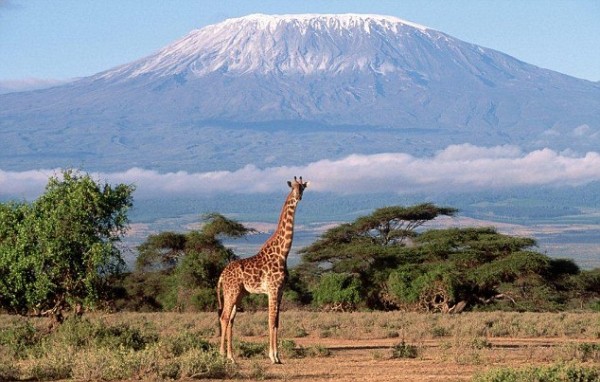 صور - اين يقع كليمنجارو  أعلى قمة في أفريقيا ؟ و لماذا سمي بهذا الاسم ؟