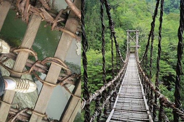 صور - 10 من اخطر الجسور في العالم بالصور