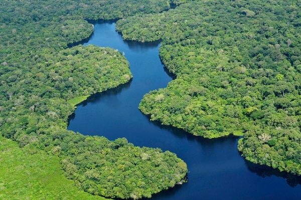 نهر الأمازون من اهم الأنهار في العالم